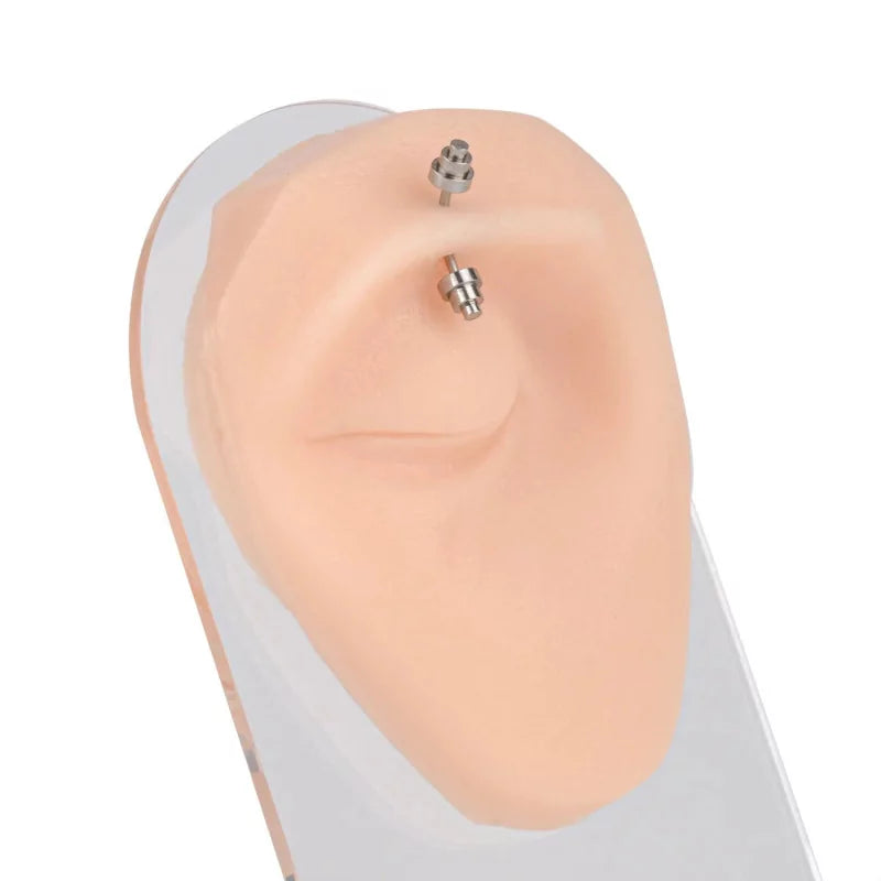 Eyebrow Piercing Silicone Model