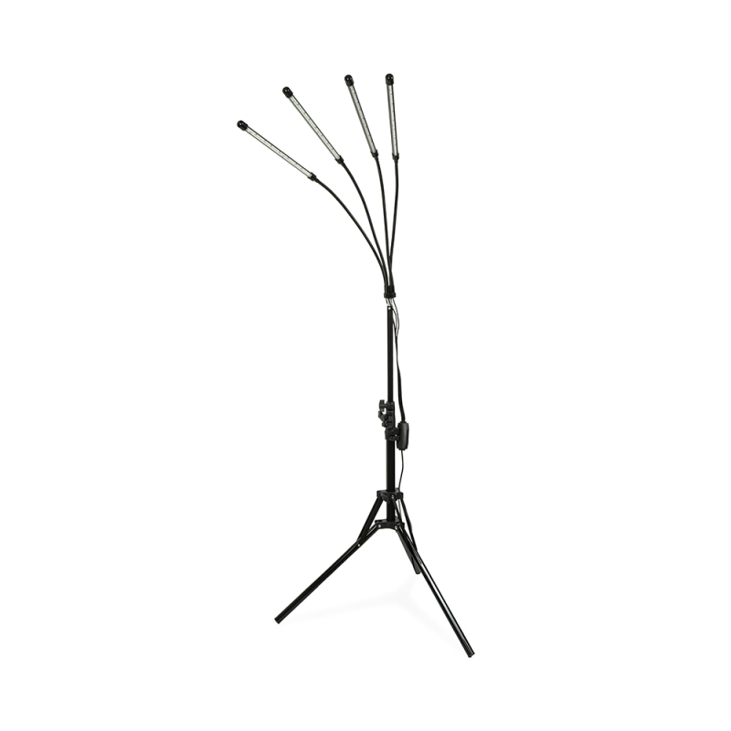 Infraraudonųjų spindulių šviesa su 4 panelėmis