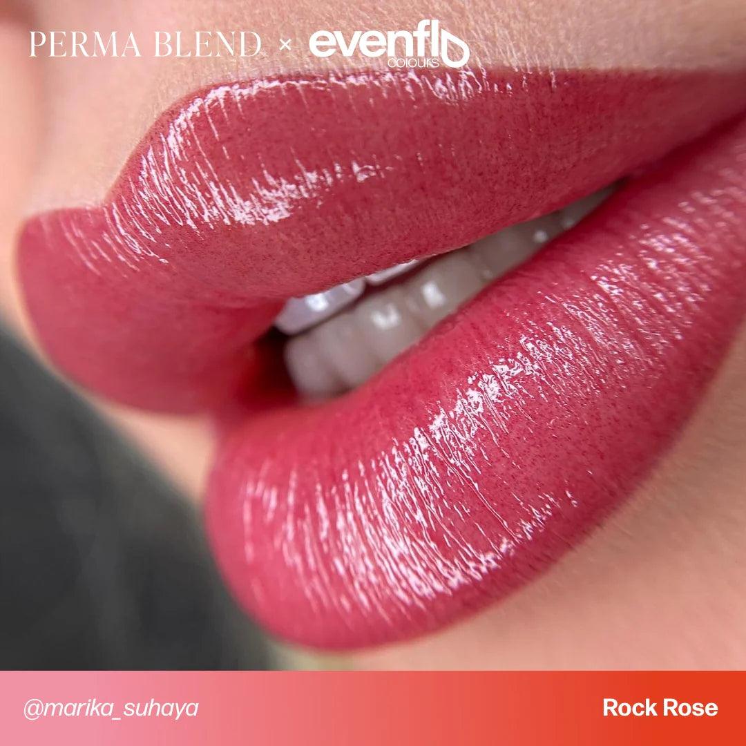 Perma Blend Evenflo Rock Rose - BVShop
