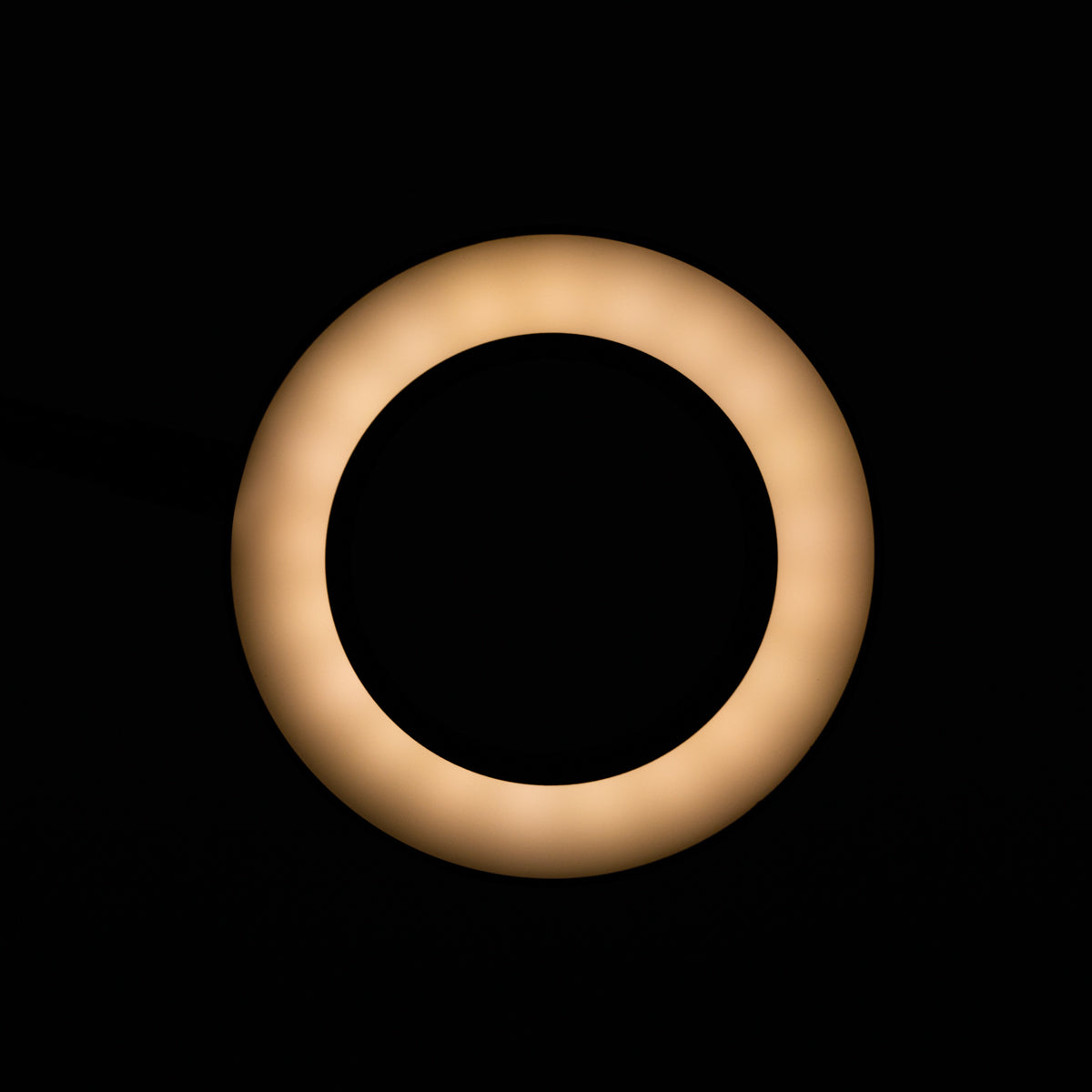 SNAKE RING LED LAMP LAMP ON A DESK BLACK - BVShop