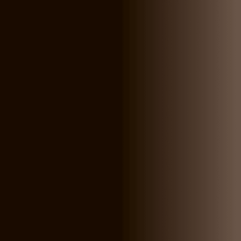 Swiss Color 207 Ebony Brown Eyebrow Pigment - BVShop