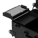 Makeup artist travel case with lockable closures and wheels
