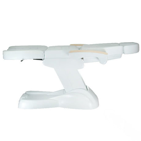 Electric Armchair LUX Pedicure BG-273C 3 engines - BVShop