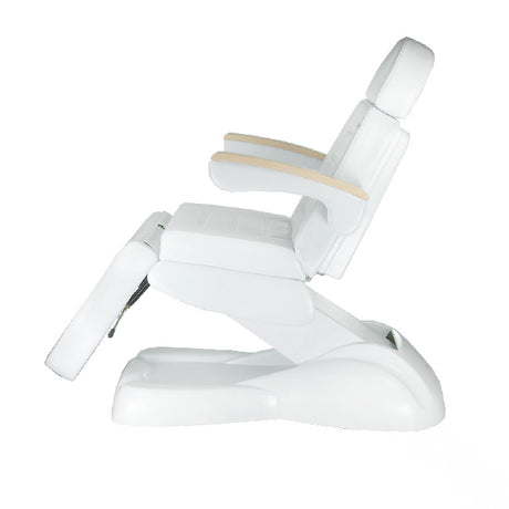 Electric Armchair LUX Pedicure BG-273C 3 engines - BVShop