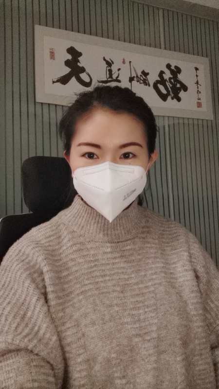 100x Protective Mask KN95 FFP2 CE Certificate - BVShop