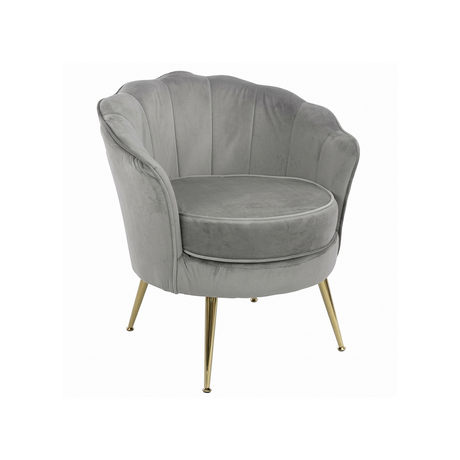 LUGANO BX-LE69 Professional Chair Grey Velvet - BVShop