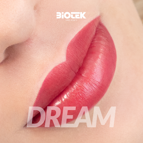 Biotek Dream pigmentai 15ml