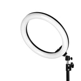 GLOW ring lamp ring 13" bsc with tripod 10W - BVShop
