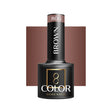 OCHO NAILS Hybrid nail polish brown 806 -5 g - BVShop