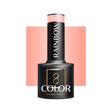 OCHO NAILS Hybrid nail polish rainbow R03 -5 g - BVShop