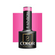OCHO NAILS Hybrid nail polish rainbow R06 -5 g - BVShop