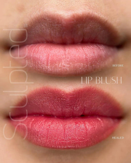 Perma Blend LUXE Base 4 - BVShop