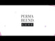 "Perma Blend LUXE Macchiato