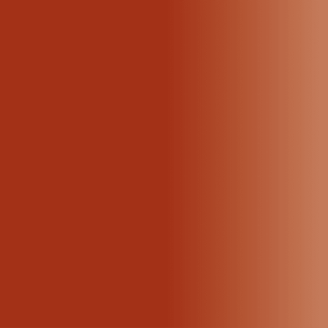 Swiss Color 107 Terra Corrector Pigment - BVShop