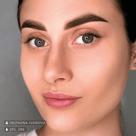 Swiss Color 205 Dark Brown Eyebrow Pigment - BVShop