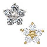 Titano žiedas Gėlė