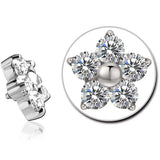 Titano žiedas Gėlė