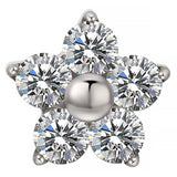 Titano žiedas Gėlė